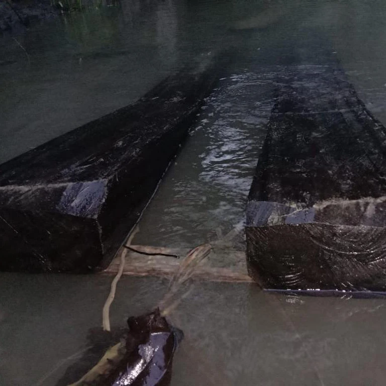 
Высокое качество черное дерево (черное дерево) деревянные бревна и пиломатериалы 