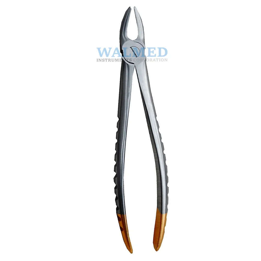
Stainless Steel Dental Extracting Forceps For Sale / Dental Extracting Forceps 
