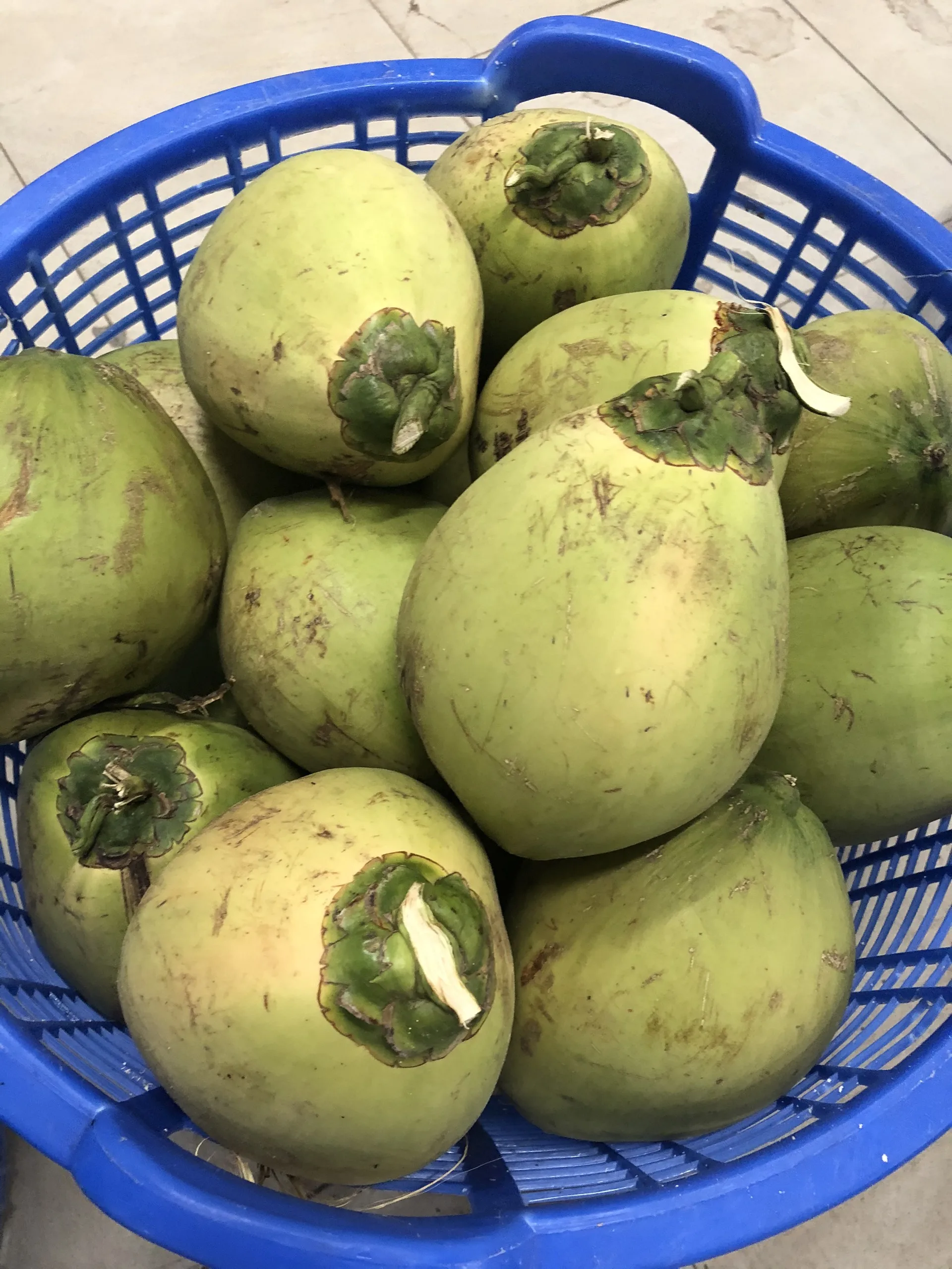 FRESH XIEM COCONUT FROM VIETNAM ( +84383234316)