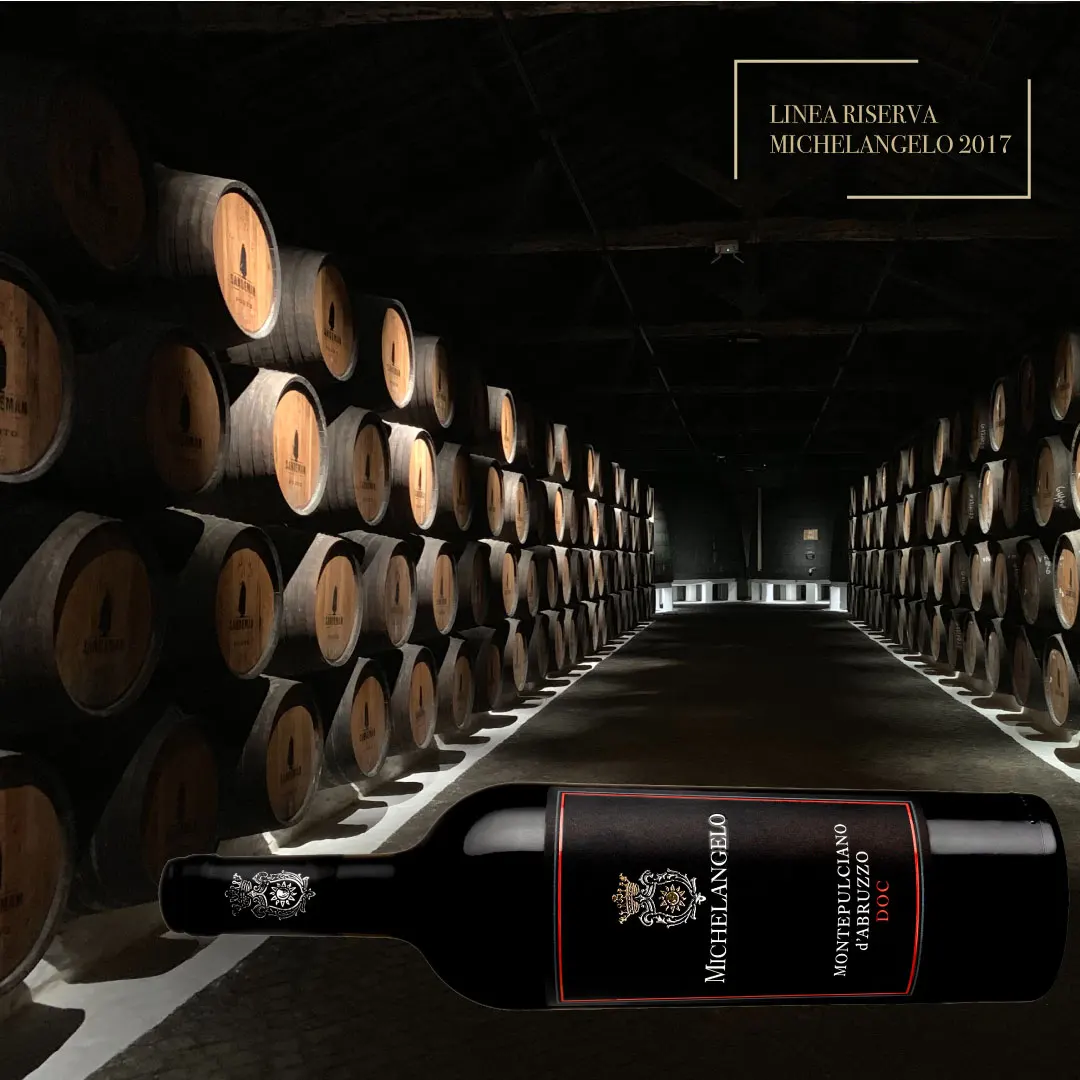 Высококачественная итальянская бутылка Красного вина 0 75 Montepulciano D Abruzzo DOC Alchoolic Drink Gran открытие