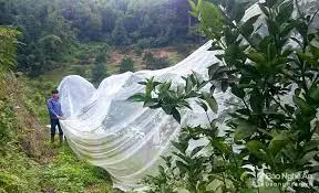 Производитель тюля из 100% полиэстера сетка от комаров мягкая тюль в рулоне цвет под заказ