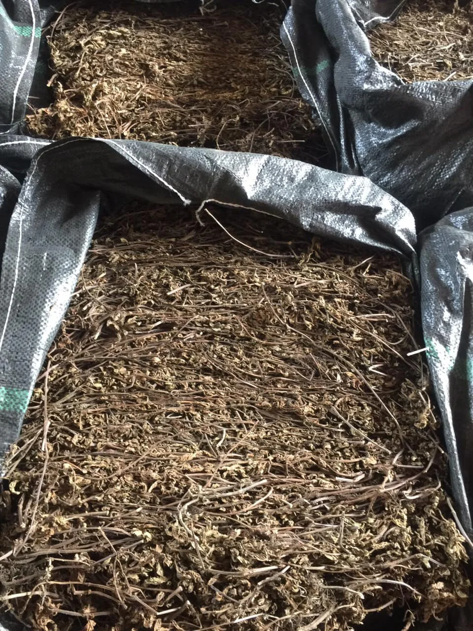 Сушеные травы желе листья делают Топпинг для напитков/мисс нефрит + 84762262344