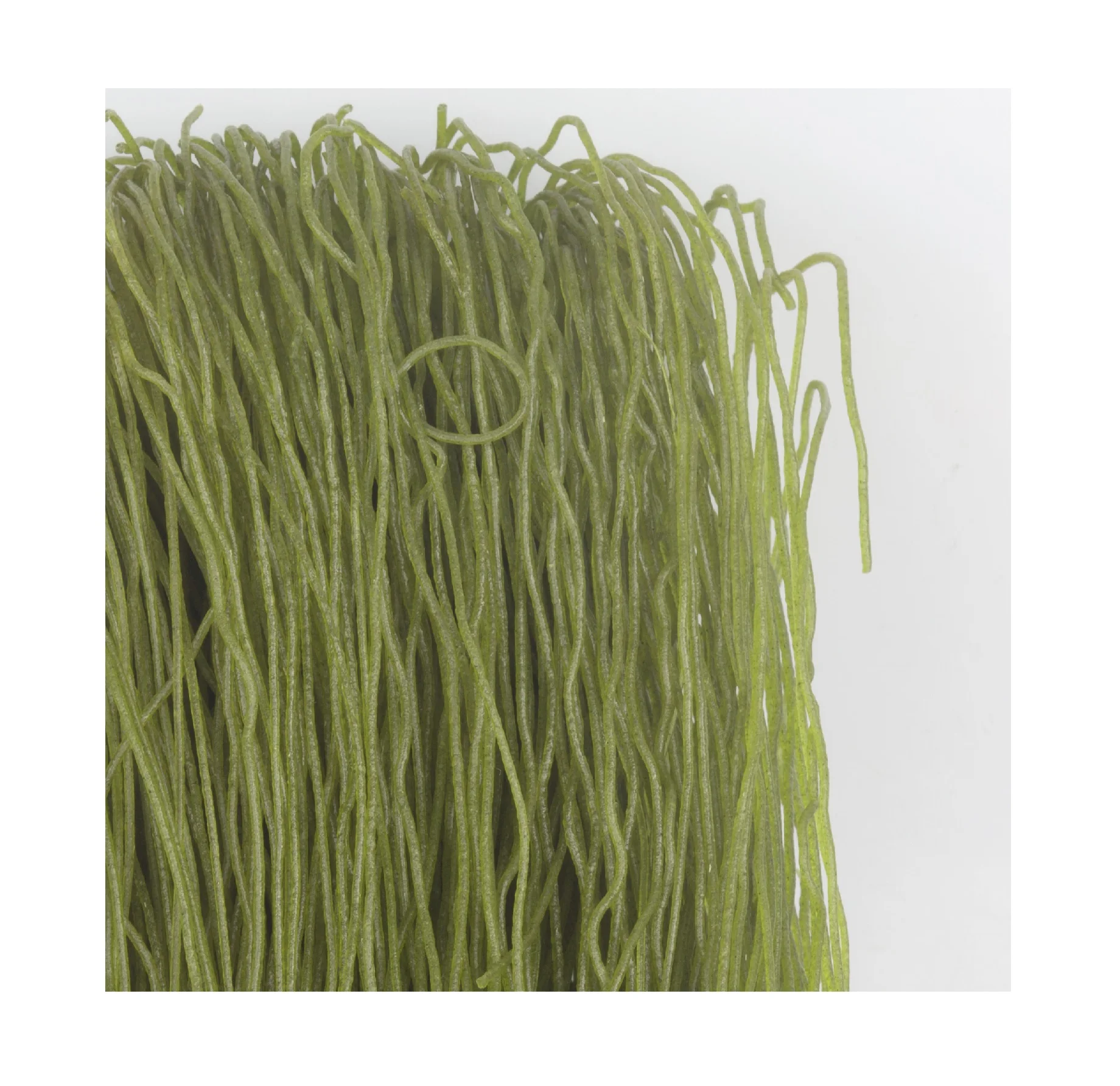 Лапша Моринга-лапша быстрого приготовления изготовлена из листьев Моринги высокое качество 99 золотых данных