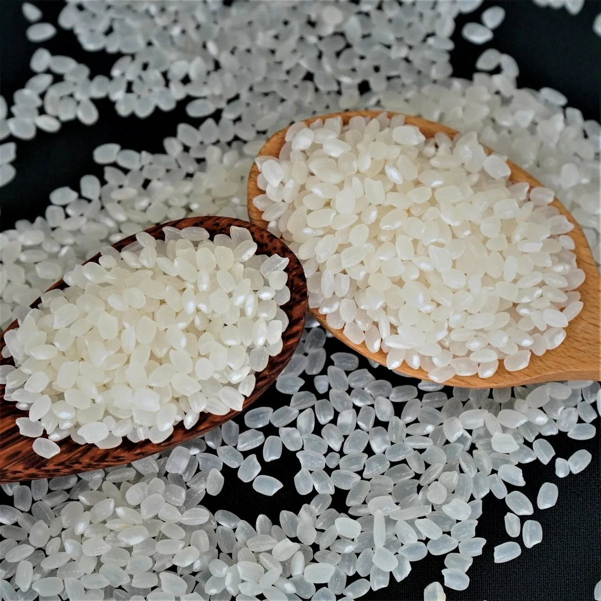 Hot Selling Vietnam Round Rice Rich Protein Short Grain Japonica Rice from Vietnam Best Supplier Contact us for Best Price