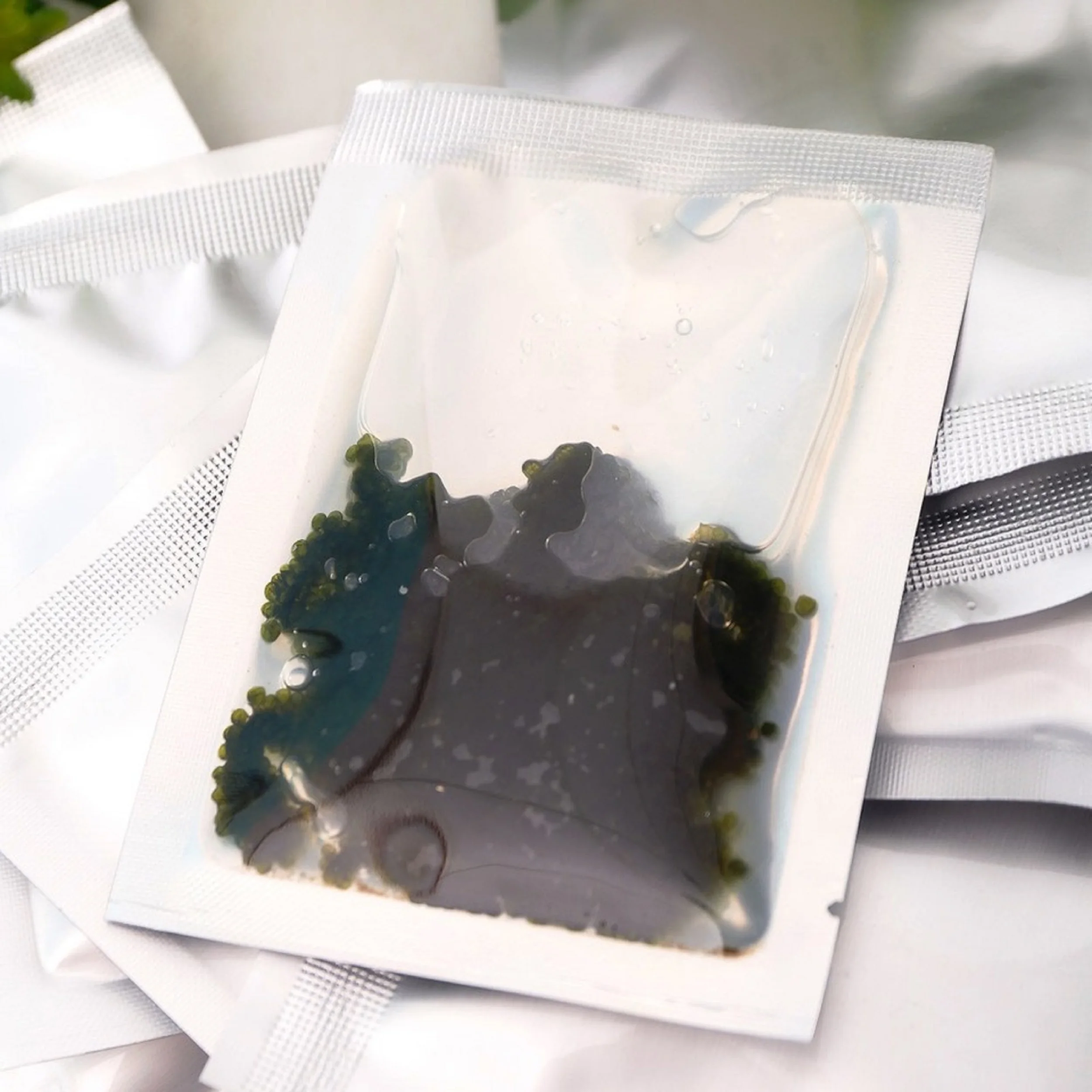Vietnam Provisoner 100% Organic Dehydrated and Marinated Sea Grapes