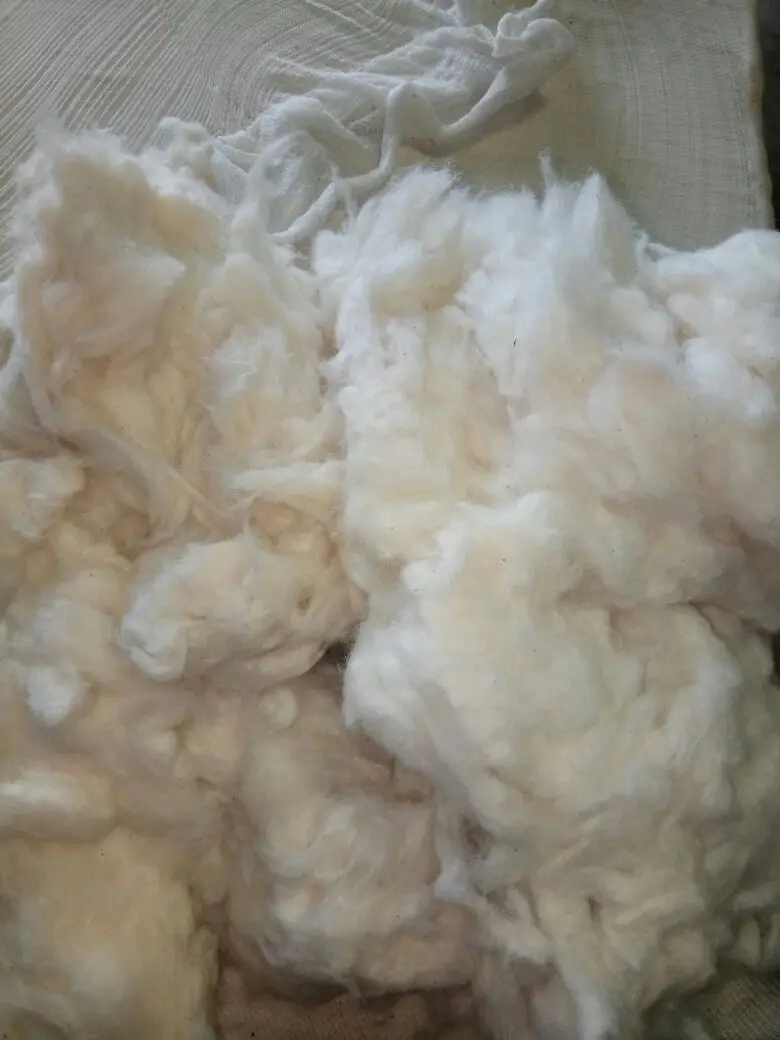 COMBER NOIL / ORGANIC COTTON / 100% CONTAMINATION FREE COTTON