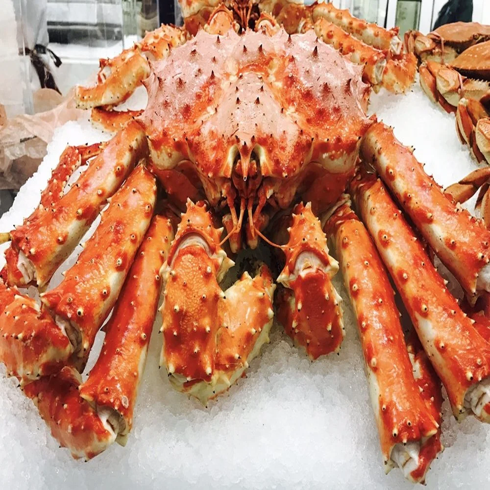 FROZEN RED SPINY KING CRAB (ALASKA KING CRAB) AND KING CRAB LEGS FOR SALE  Frozen Blue Swimming Crabs/ SNOW crab / king crab who