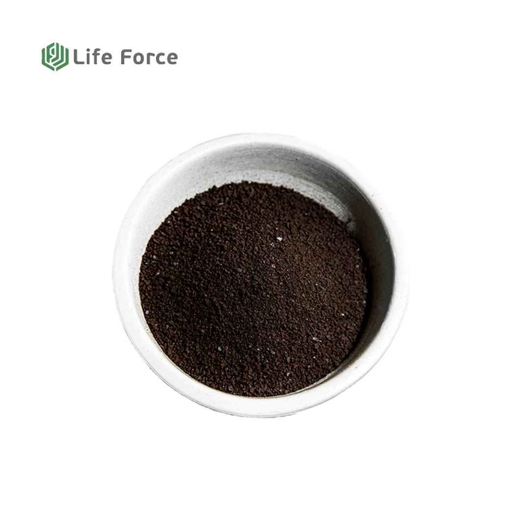 Humic Acid raw material - Leonardite from Siberia - Life Force - Class B - SL 104/1 up to 80 % Humic Acid Organic Fertilizer