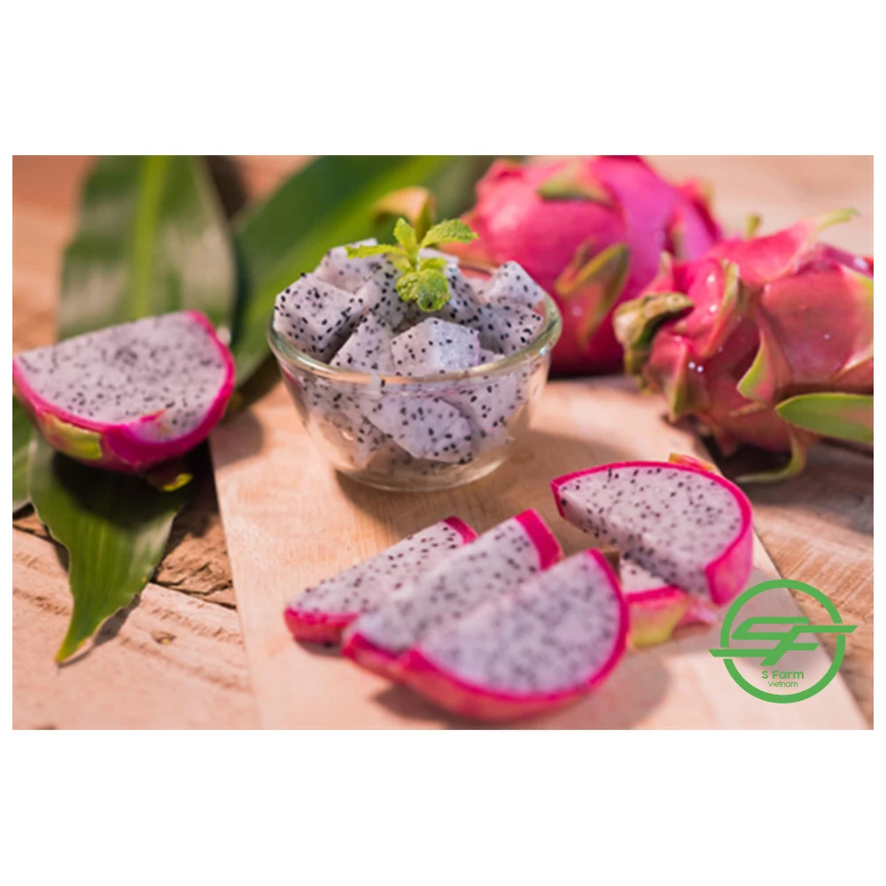Fresh White Dragon Fruit from Vietnam with standard quality and best price high quality for export White flesh ready to shipping