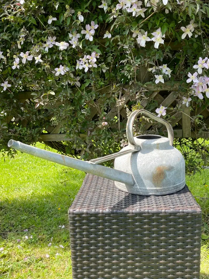 Винтажная Удобная кастрюля для полива железа деревенский готовый садовый инструмент домашний подарок сада растений заводская цена Индия