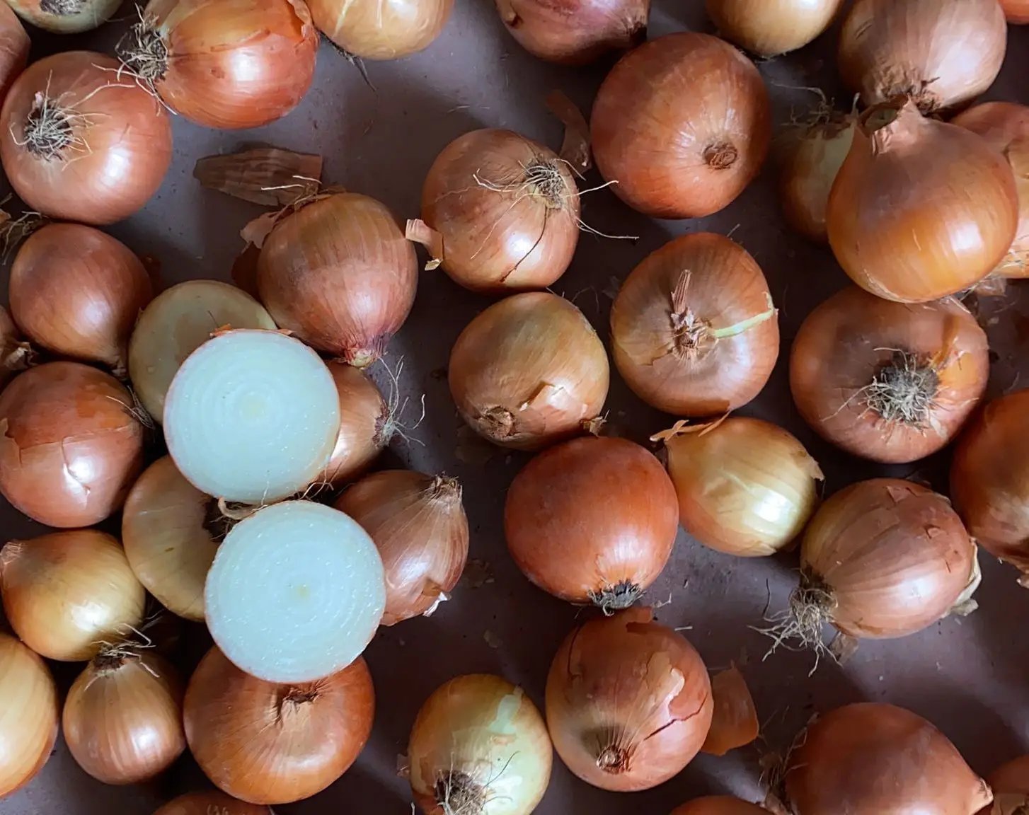 Fresh yellow onion from Turkey, 10 Kg 30 Kg 50 Kg Mesh Sacks, Premium Quality, 35 MM-50 MM-60 MM