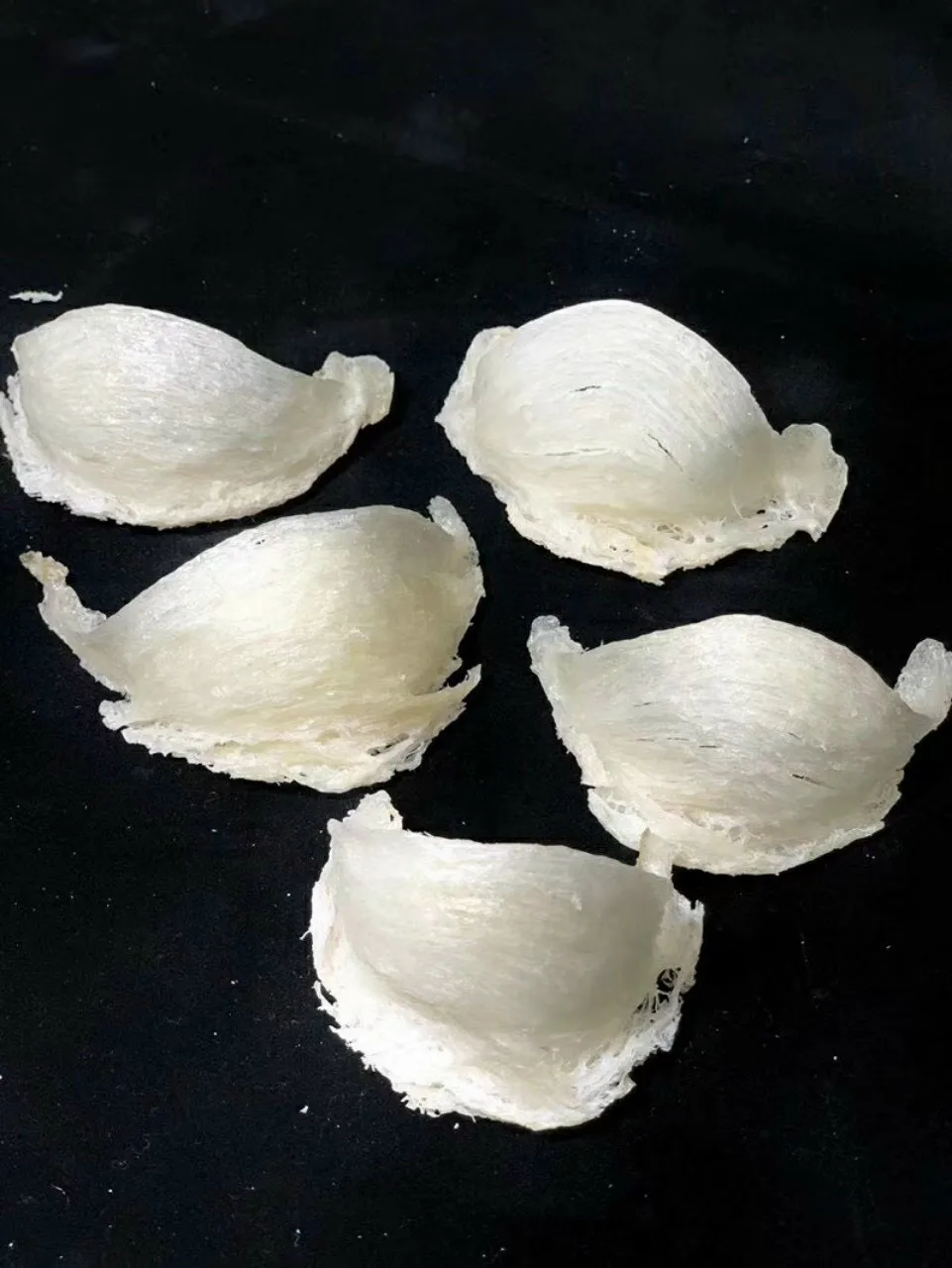 
High Quality Low-fat Protein Bird Nest Good For Health From Salanganes Vietnam for Export 