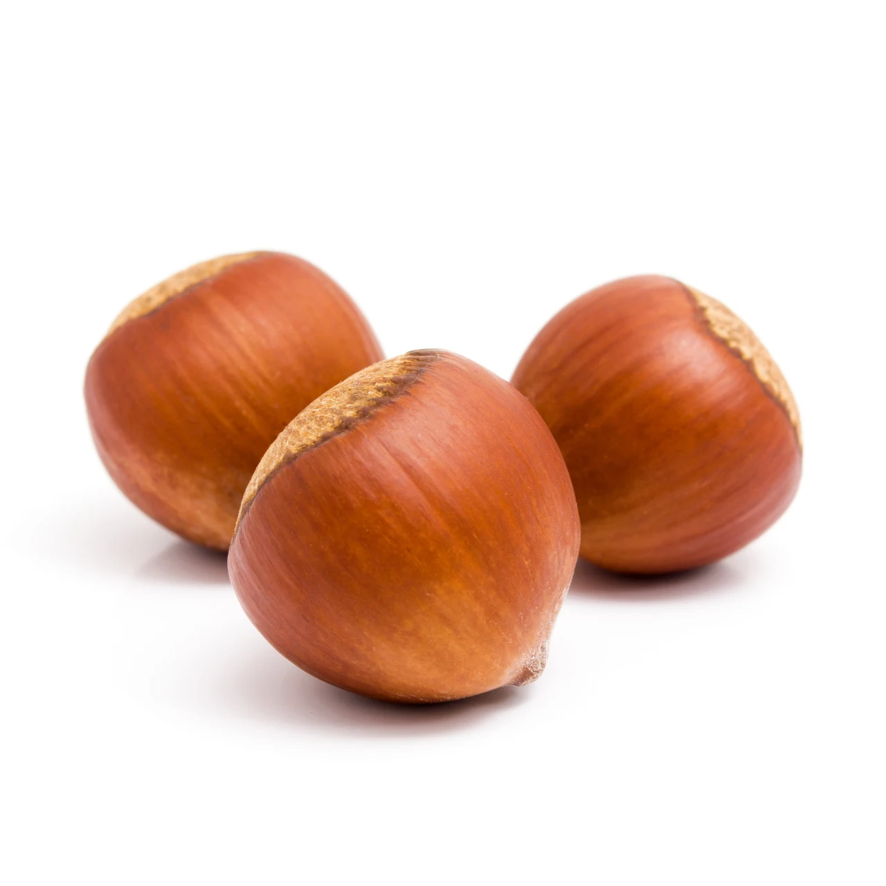 Hazel Nuts