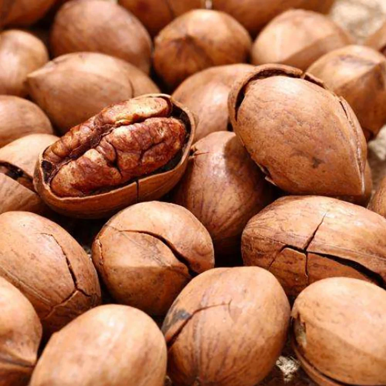 Cheap wholesale pecan nuts