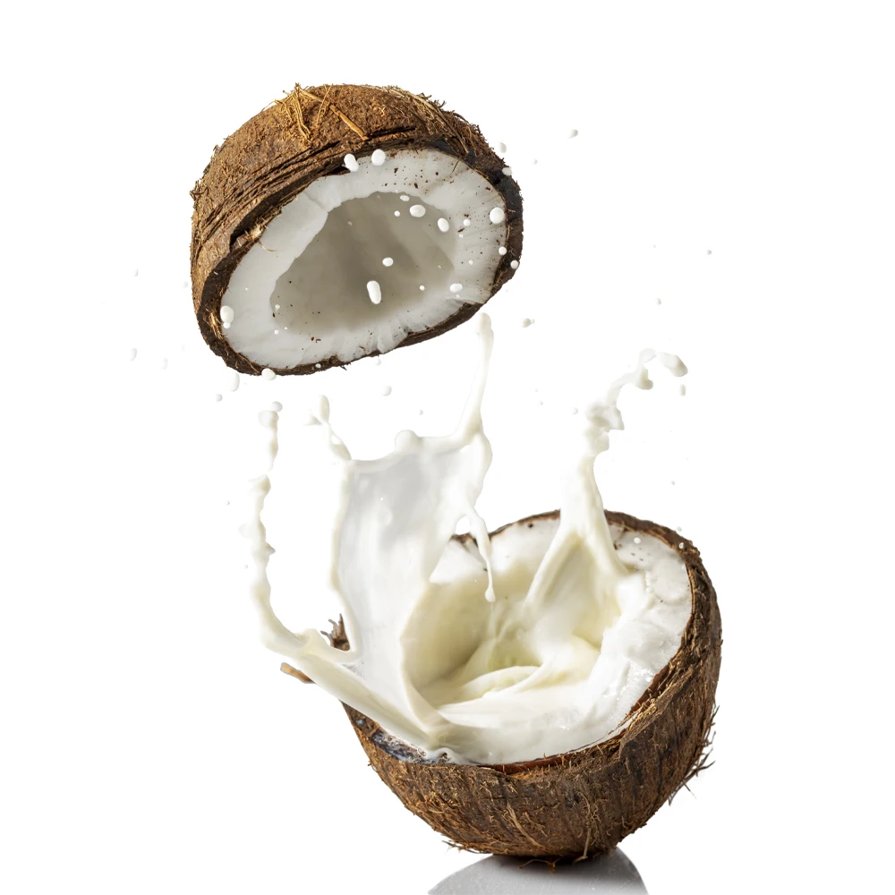 Высокое качество, оптовая продажа, двухлетняя гарантия, тип пищевого продукта для органического пожилого возраста, приготовленного кокосовым молоком, из Шри-Ланки