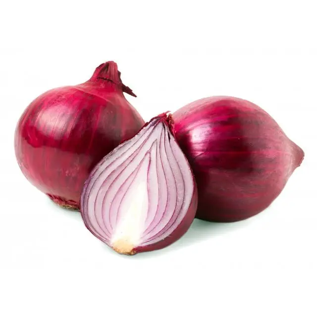 Wholesale 100% Natural Product New Crop Fresh Food Grade Quality Red Onion Importers Fresh Vegetables
