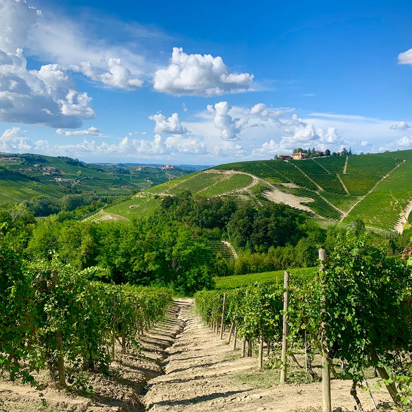 Премиум-качество сделано в италии Intense Batasiolo Barolo DOCG 75cl 6 бутылок x картонная коробка готов