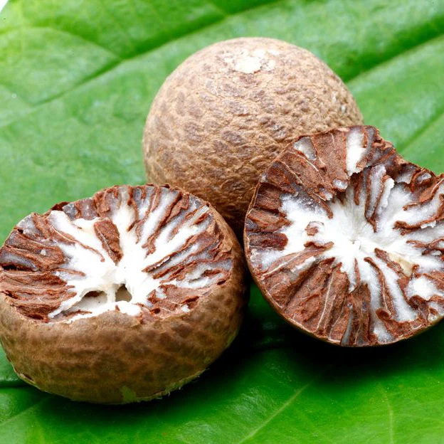 BETEL NUTS - Whole/ Split Betel Nuts Cheapest Price Top Quality Manufacturer From Vietnam In Bulk Supply| TERESA +84971482716