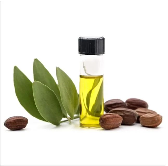 Best grade high quality low price jojoba oil use for wound healing from India