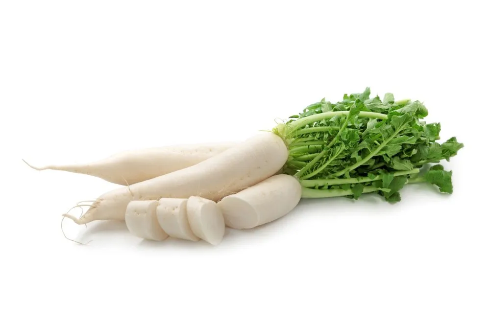 Manufacture supply cheap dried Radish strips/ Dried Dakon Radish in Vietnam  / Ms. Nary ( +84 904183651)
