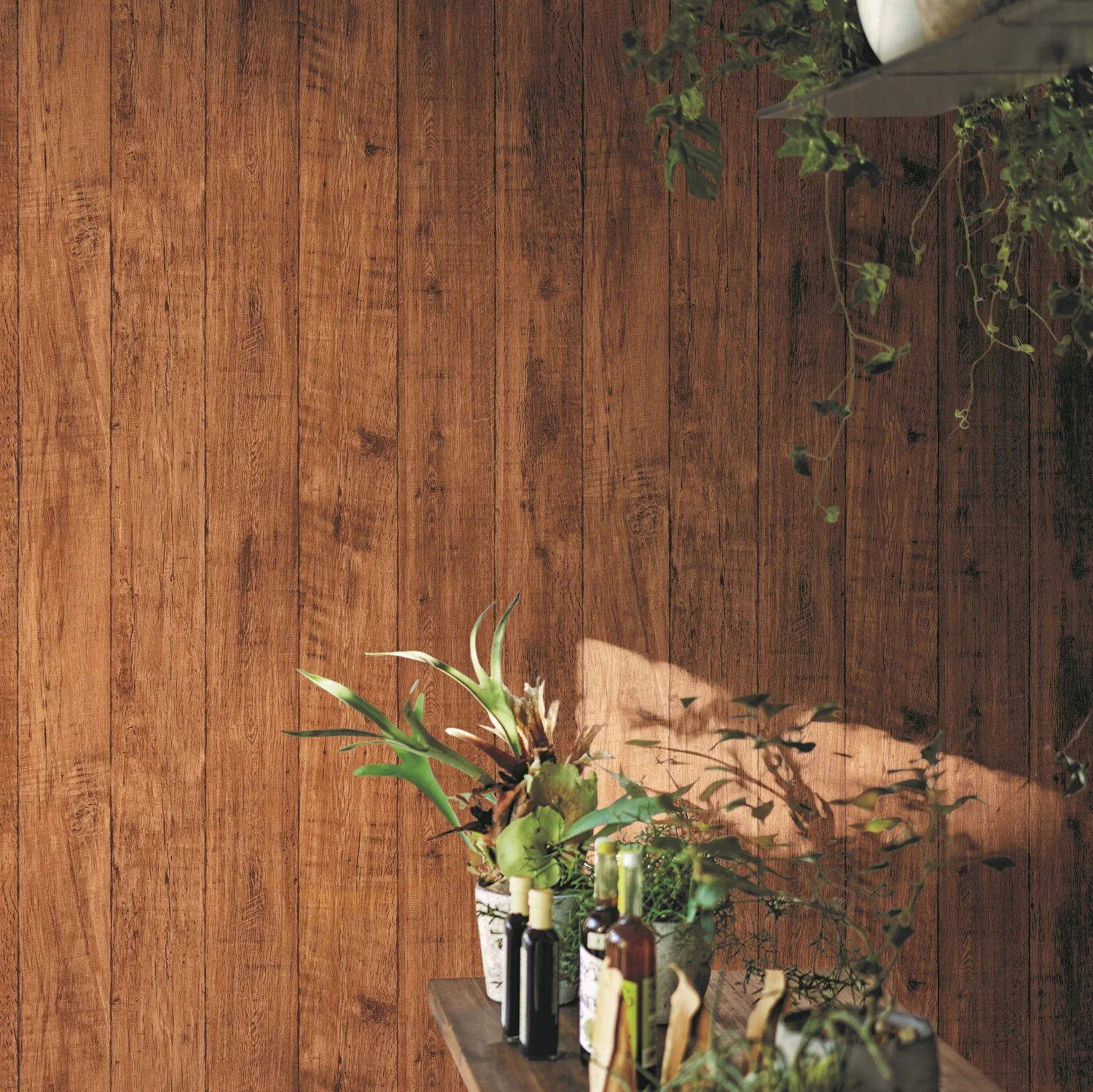 21BB_P118_3_9618 (2)