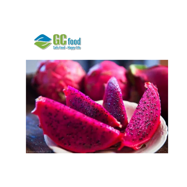 Best Price Red Fresh Dragon fruit - 100% Natural Sweet made in Viet Nam