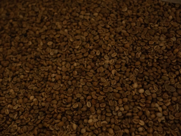 100 capsules - A modo mio (R)* - Firenze coffee - Compatible Coffee Capsule