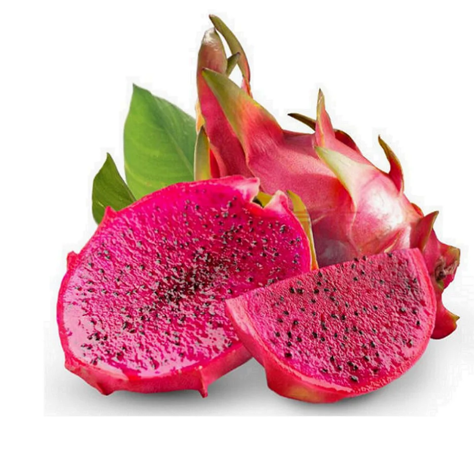 
100% FRESH DRAGON FRUIT EXPORT STANDARD PRICE FOR SALE HIGH QUALITY !!! 