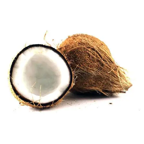 
100% Natural Wholesale Coconut /semi Husked Fresh Matured Coconut 