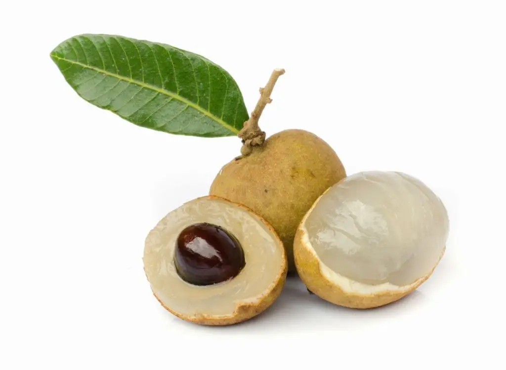 Fresh Longan Premium Grade Best Seller From Thailand By SP Organic International Thai Fruits Export