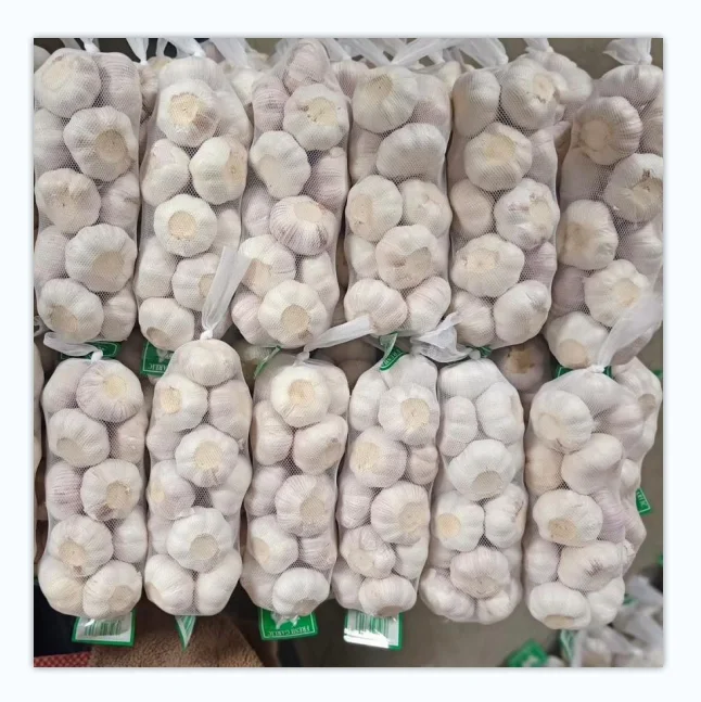 Bulk Supply Garlic at Lowest Price