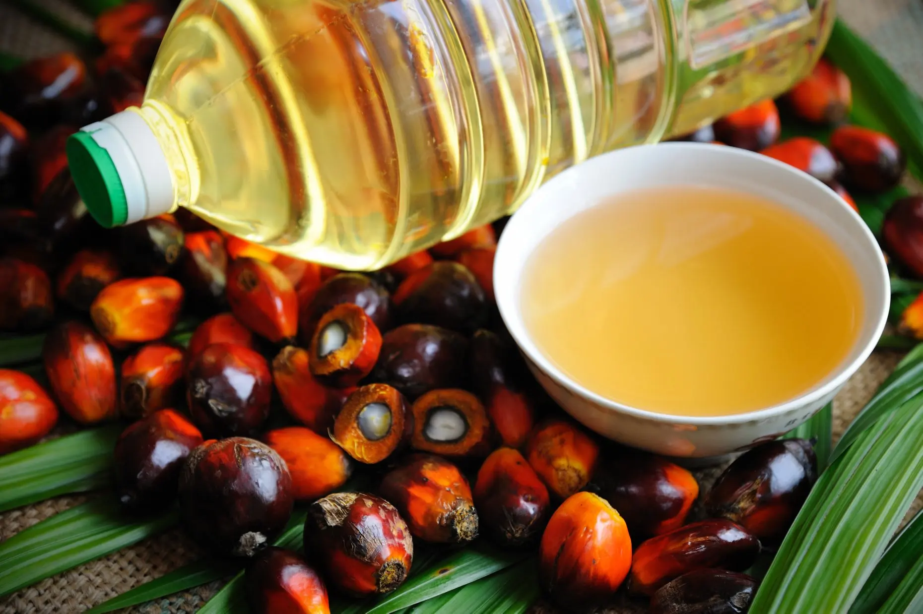 100 % REFINED COOKING PALM OIL