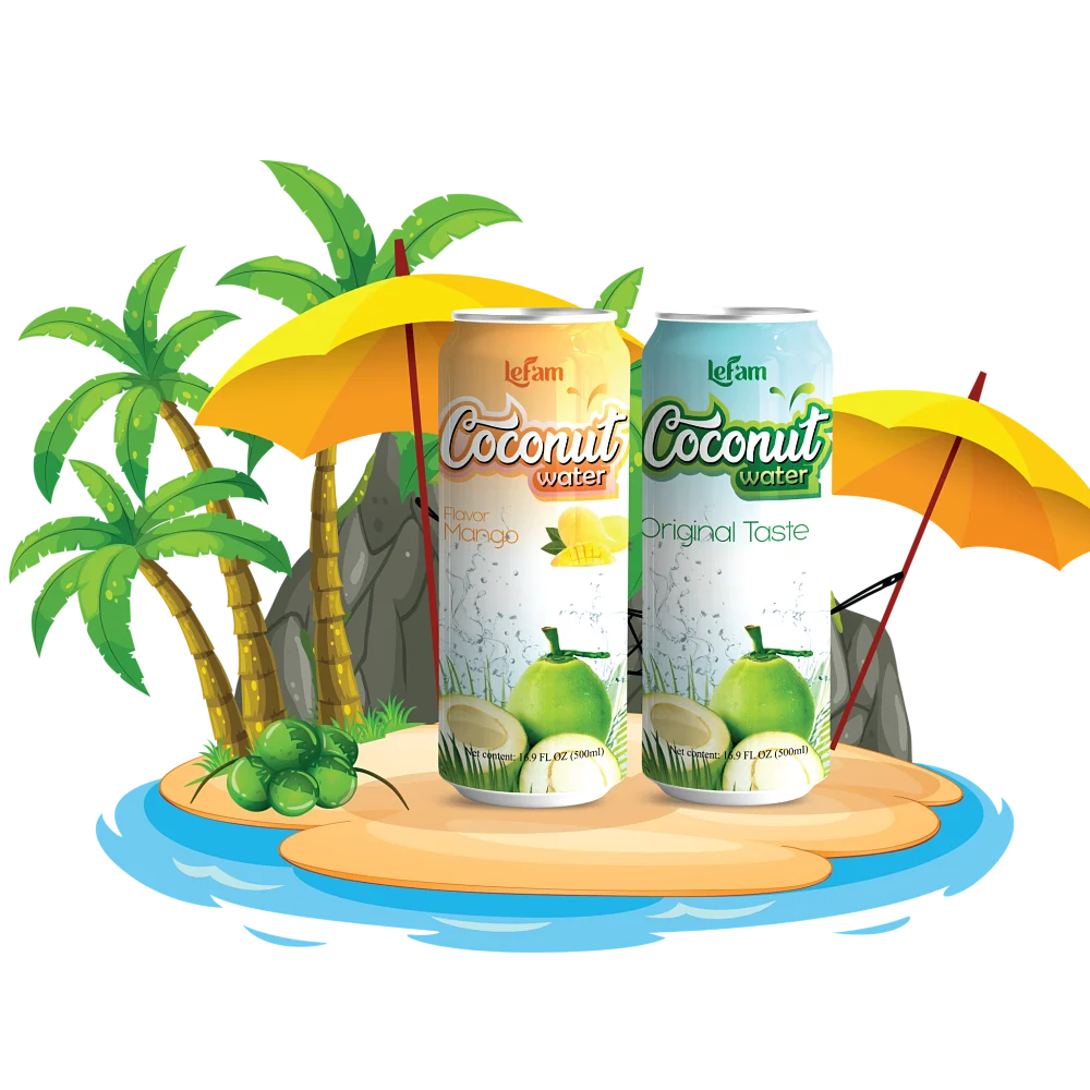 Packing 24 cans Coconut Water Blueberry Flavor with pulp 500ml Fresh Soft Drink Manufacturing ODM LEFAM BEVERAGES agua de coco