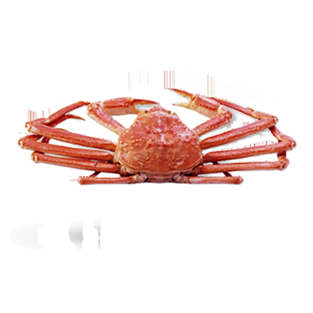 Frozen Russian Snow Crabs/Live King Crab Legs Available!
