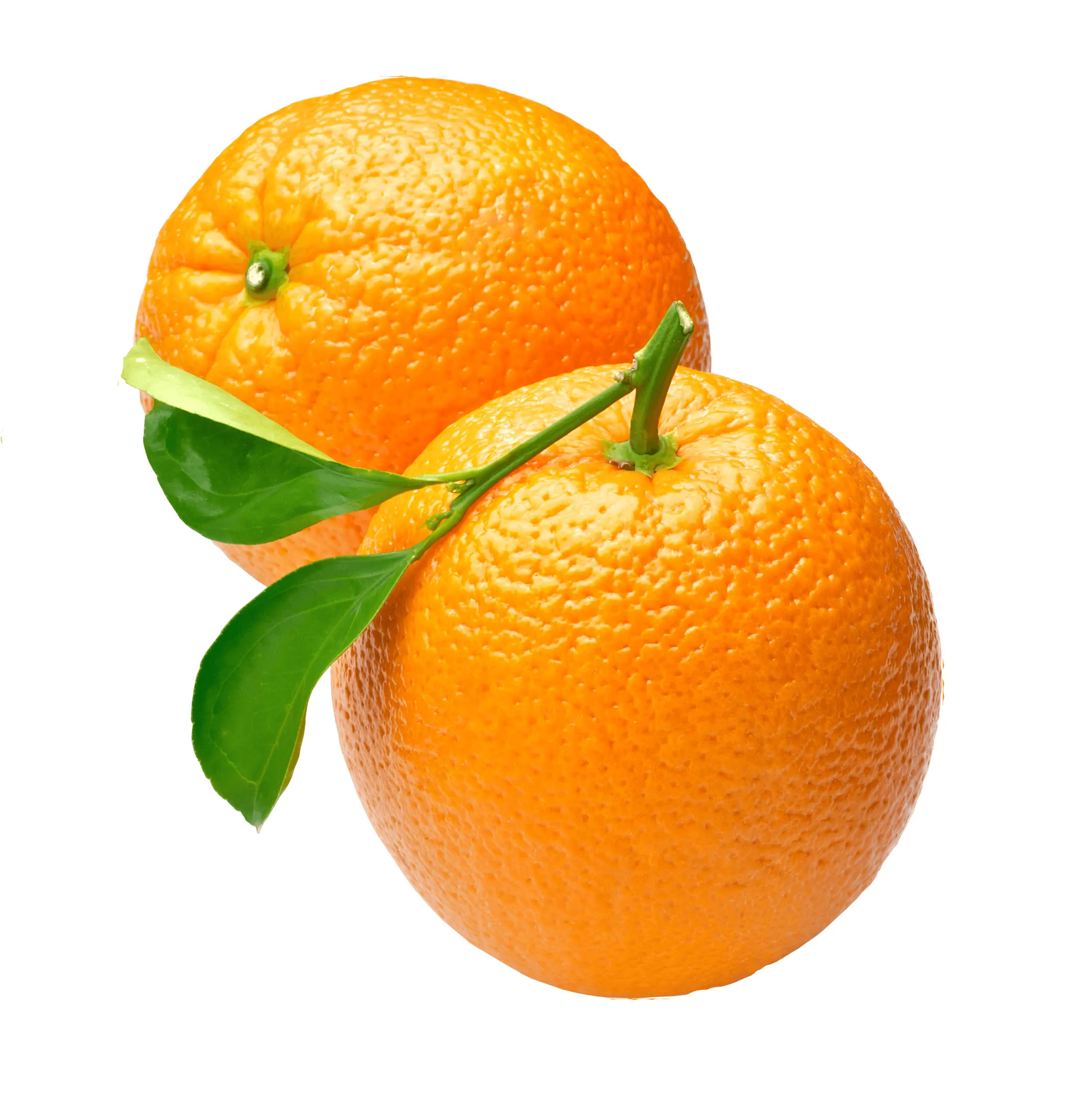 Now newest crop fresh navel Egyptian orange with best price