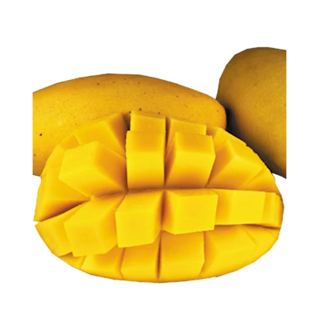 Natural Products Mango Dried Fruit Mixed with Seasonings Healthy Food Snack for Wholesale from Thailand