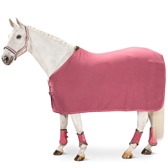 Horse Equipment cotton winter Equine Products Equestrian Waterproof horse Rugs Cover blanket by canleo international