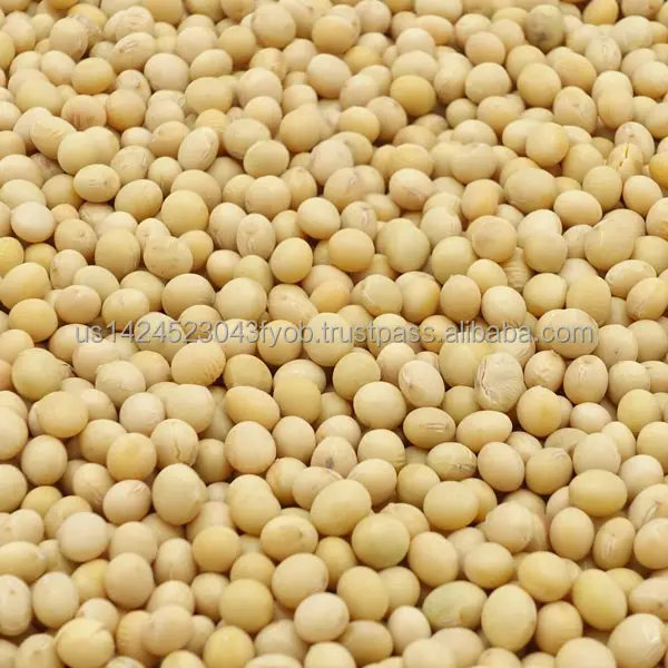 soybeans_for_nattp.jpg