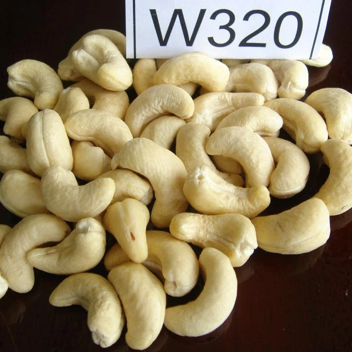 Thailand Cheap Price W320 Raw Cashew Nuts for Sale