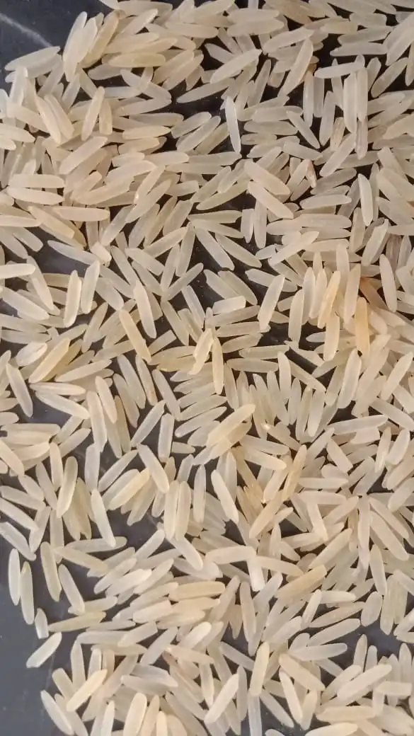 for sell 1121 Basmati Rice from Pakistan Sella 1509
