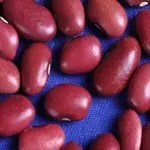 Новый Урожай высококлассной темно-Красной фасоли