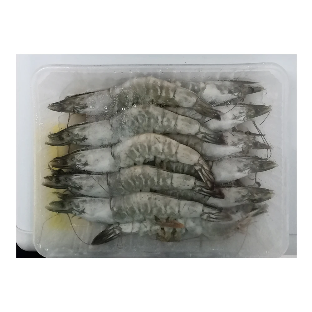 Высокая креветка, выбор на экспорт, изумрудная креветка с 18 месячной полкой, отправка из малайзии