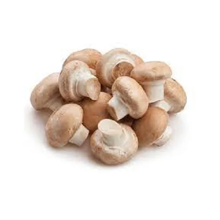 wholesale dried mushroom magic rare edible mushrooms