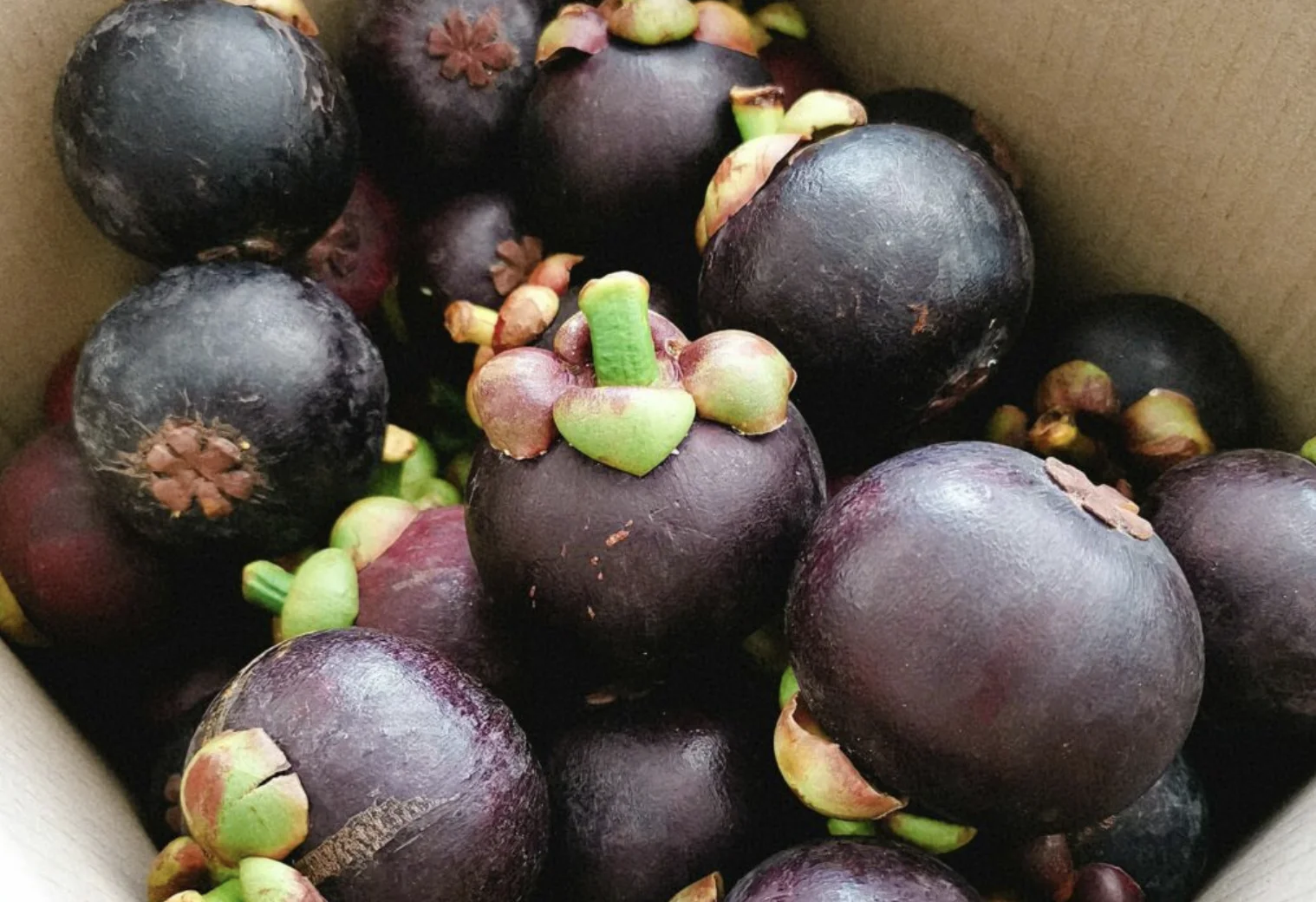 Мангостин, высокое качество, сладкий вкус, натуральный из Таиланда