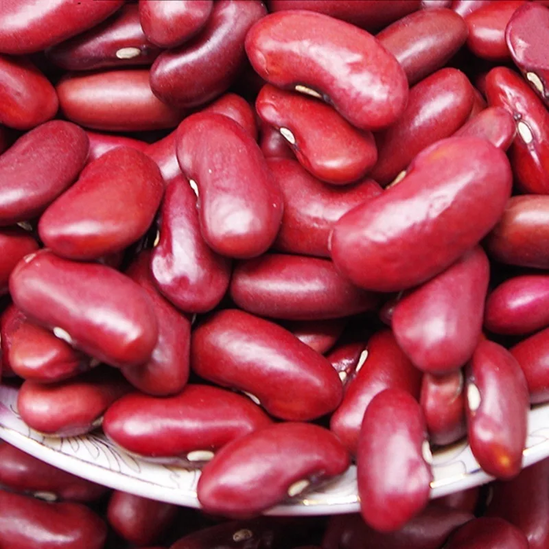 
High quality Black Kidney Beans 
