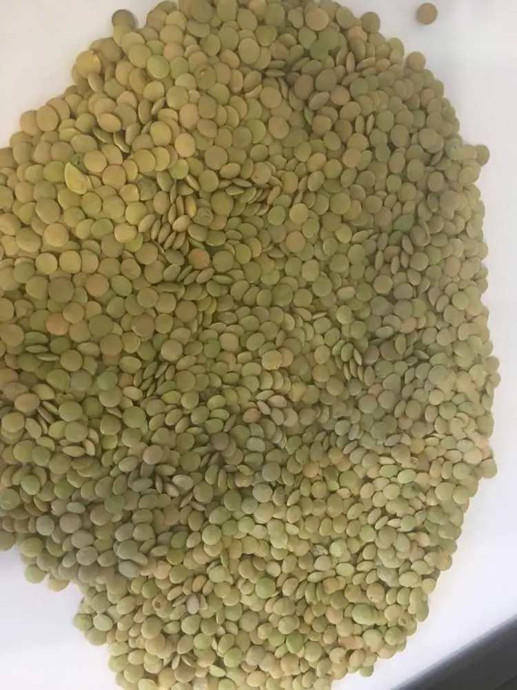 
Green lentils of Russian origin 