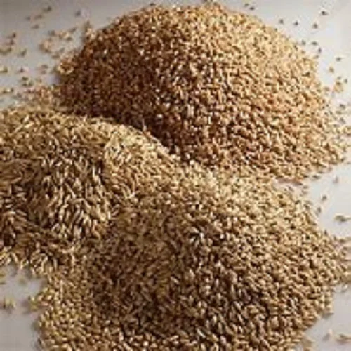 Barley 1-3 classes agricultural products quality characteristics correspond to the Interstate standard, barley