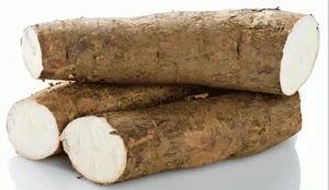  HIGH QUALITY Native Tapioca Starch