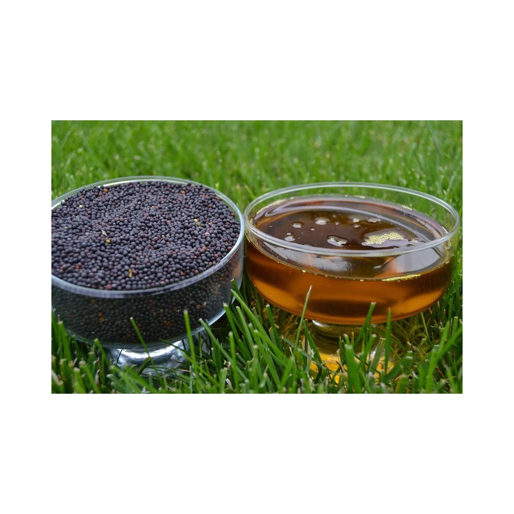 
Quality natural unrefined rapeseed oil, wholesale prices 