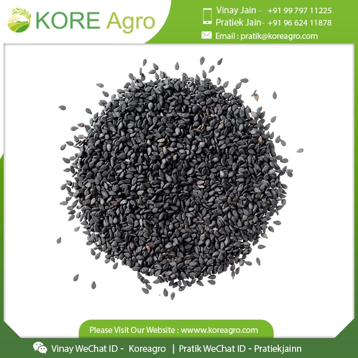 Premium Roasted Black Sesame Seed Natural Good Taste Black Sesame Price Roasted Wholesale Sesame Seeds